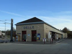 Delle